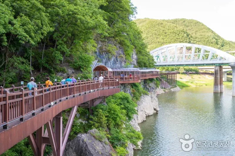 Danyanggang River Jando Plank Road (단양강 잔도) (1/8)