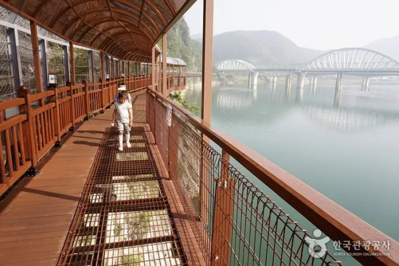 Danyanggang River Jando Plank Road (단양강 잔도) (3/8)