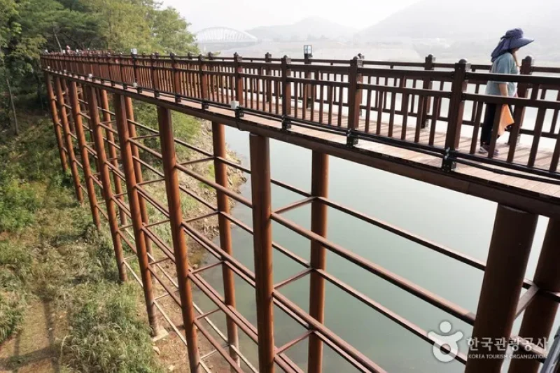Danyanggang River Jando Plank Road (단양강 잔도) (4/8)