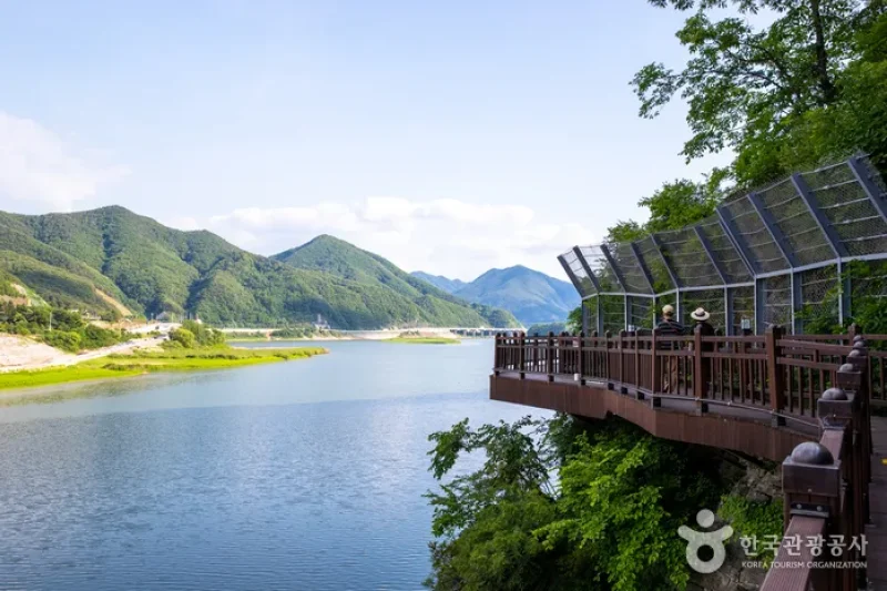 Danyanggang River Jando Plank Road (단양강 잔도) (6/8)