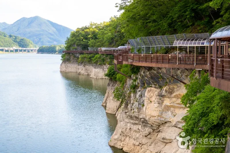 Danyanggang River Jando Plank Road (단양강 잔도) (7/8)