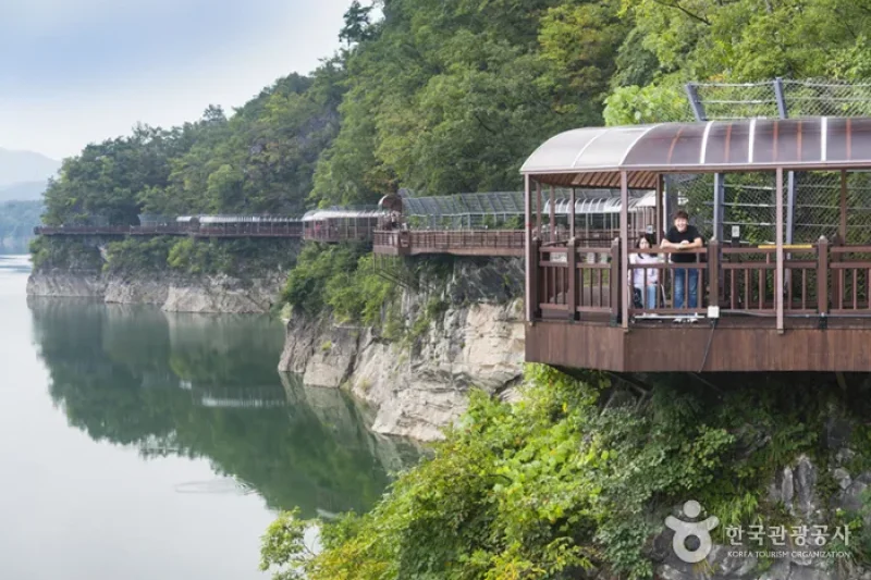 Danyanggang River Jando Plank Road (단양강 잔도) (8/8)