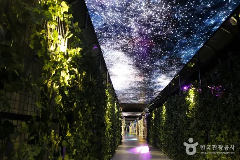 Suyanggae Light Tunnel (단양 수양개빛터널) (2/6)
