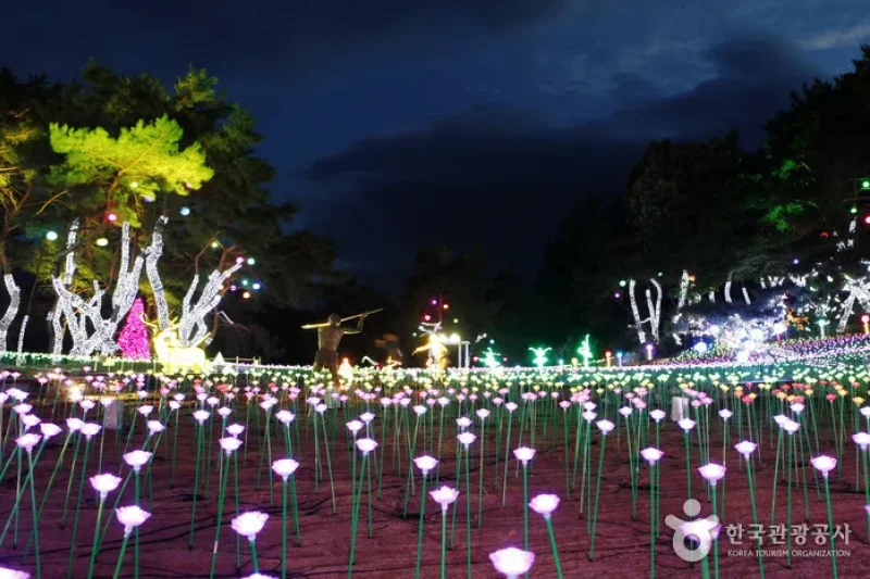 Suyanggae Light Tunnel (단양 수양개빛터널) (3/6)