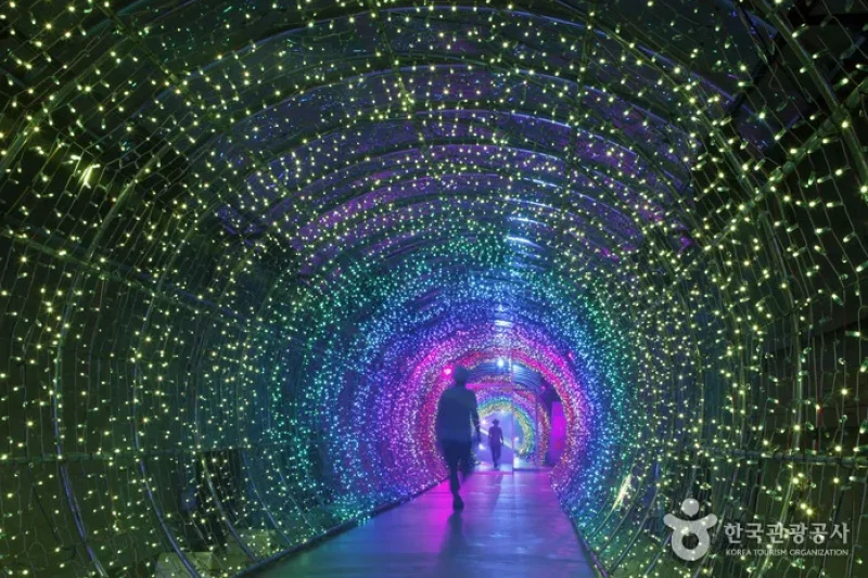 Suyanggae Light Tunnel (단양 수양개빛터널) (4/6)