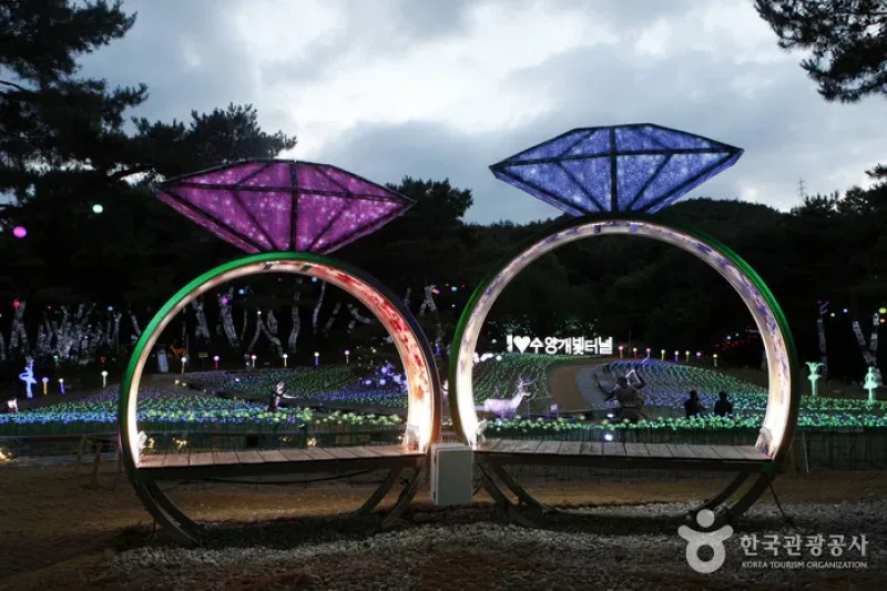 Suyanggae Light Tunnel (단양 수양개빛터널) (5/6)