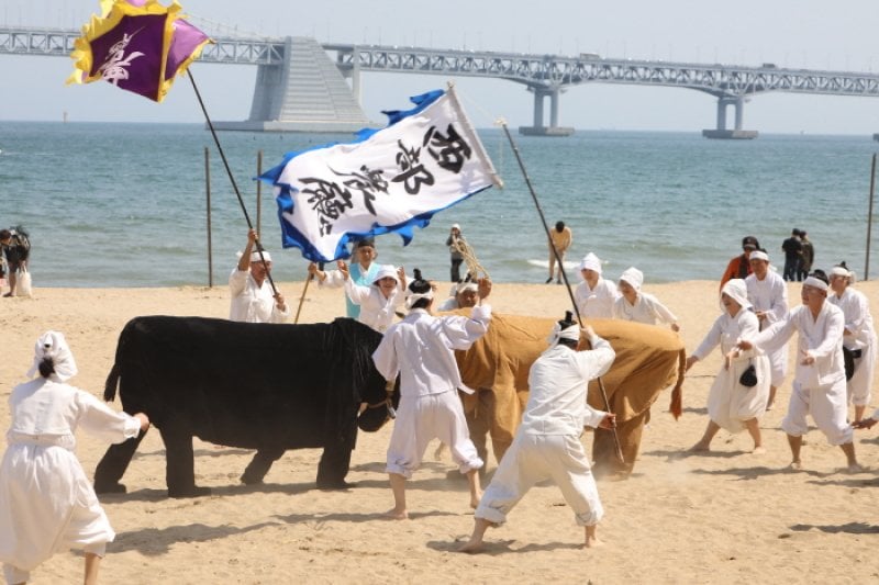 Gwangalli Eobang Festival  (19/25)