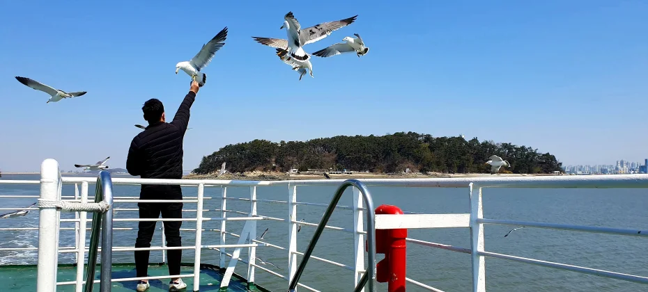 Incheon Jung-gu 1-day Experience Tour(Ocean Railbike / Cruise / Hanbok / traditional Korean paper / Traditional Market) (1/43)