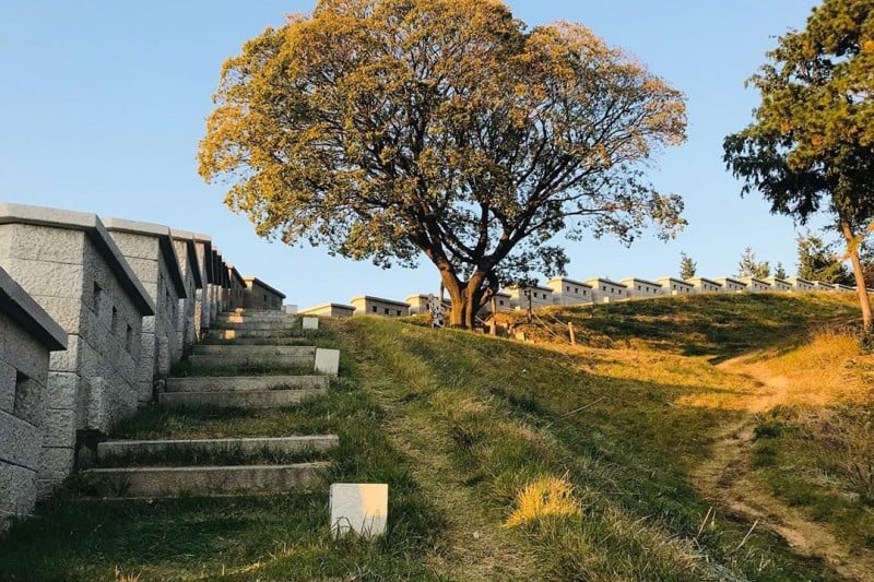 Dongnaeeupsong Fortress Site (동래읍성지) (3/5)