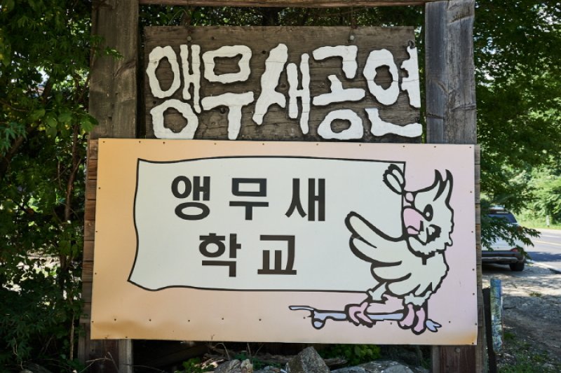Hanguk Aengmusae Hakgyo - Bird House  (1/6)