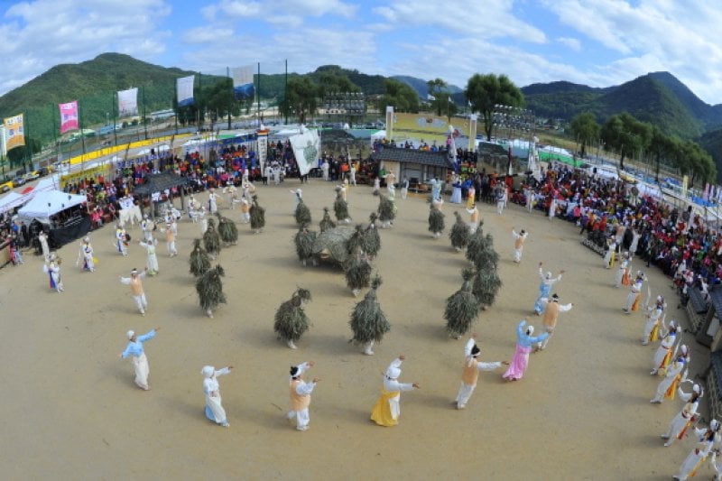 Regular Performance Pyeongtaek Turtle Play  (1/3)