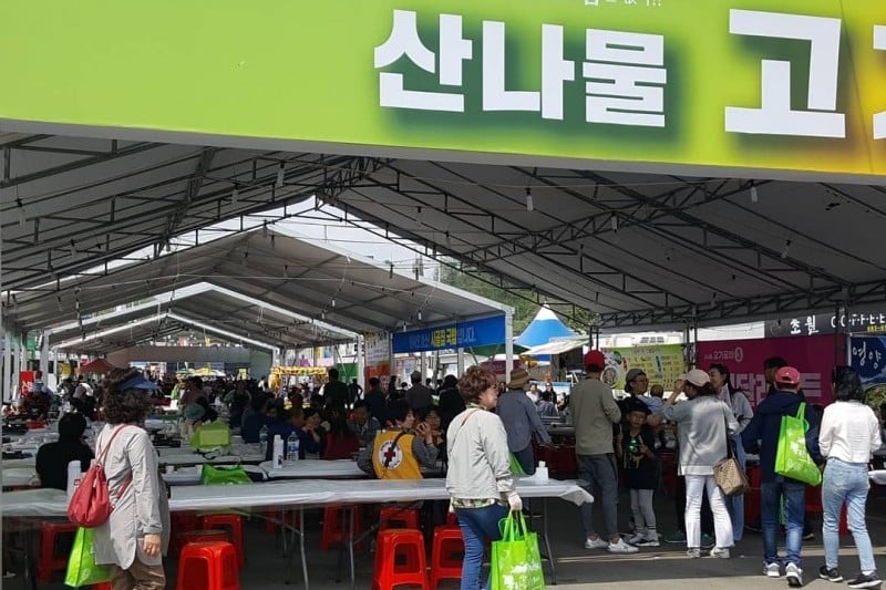 Yeongyang Wild Greens Festival  (1/4)