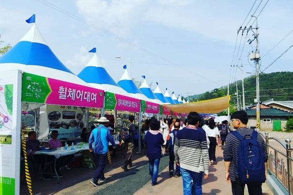 Yeongyang Wild Greens Festival