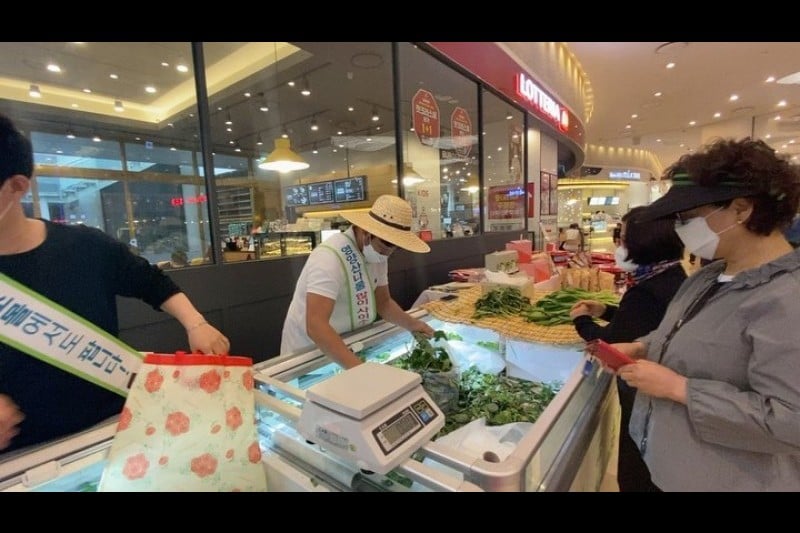 Yeongyang Wild Greens Festival  (4/4)