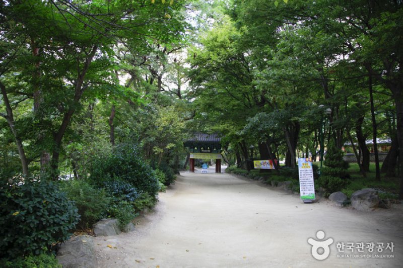 Naeyeonsan Bogyeongsa County Park  (5/5)