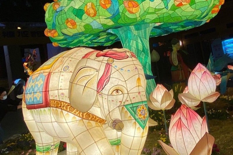 Suncheon Lantern Festival  (1/1)