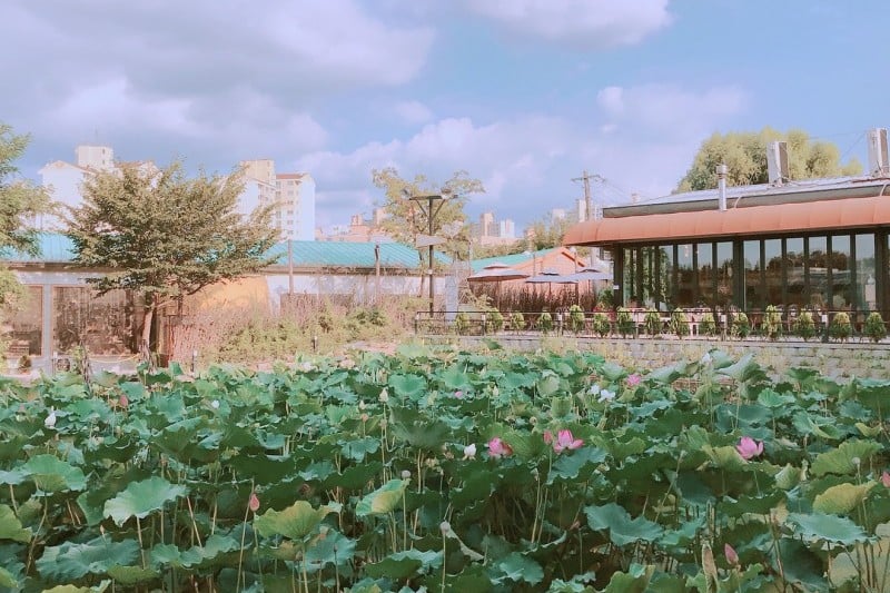 Pungdong Anygol  (5/16)