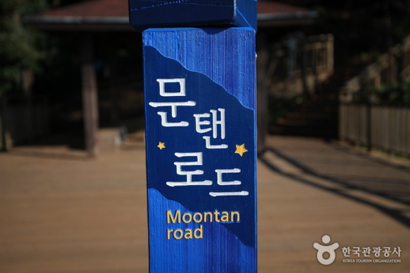 Moontan Road (문탠로드) (1/14)