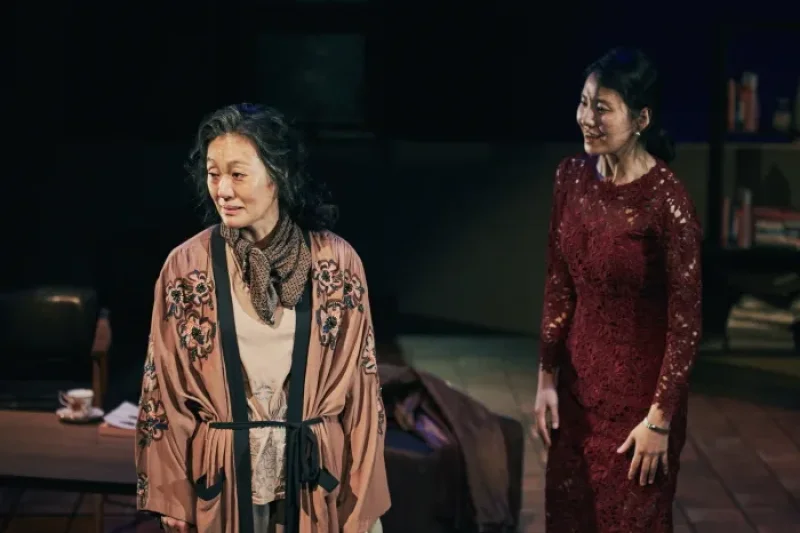 Seoul Theater Festival  (5/11)