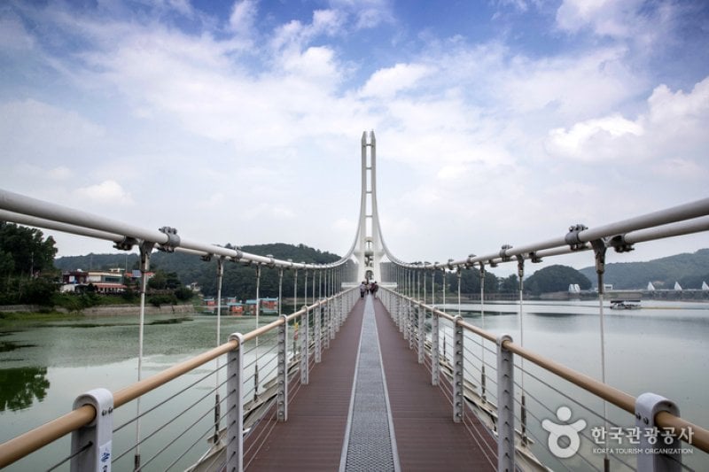 Yedangho Suspension Bridge (예당호 출렁다리) (8/11)