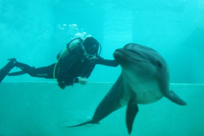 Marine Park  (1/9)