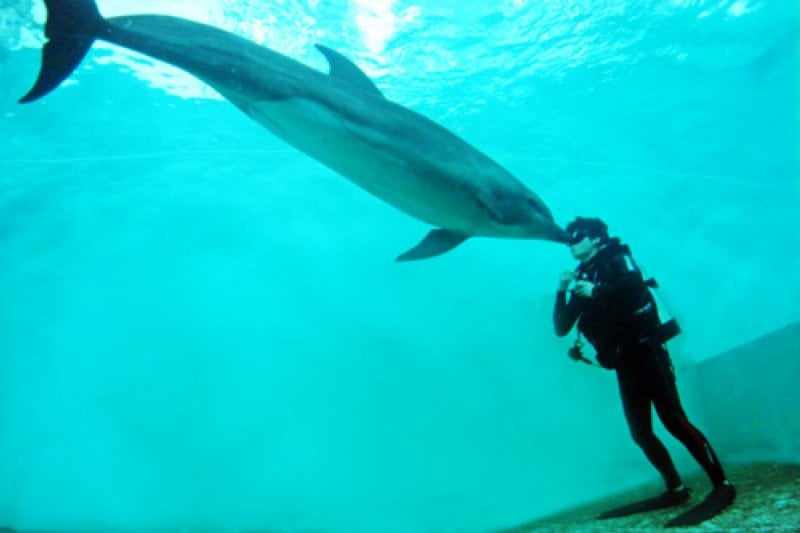Marine Park  (2/9)