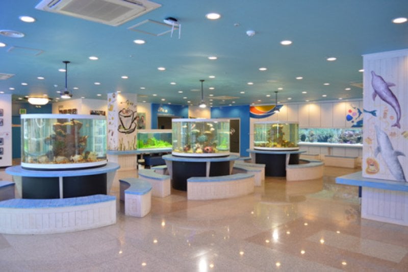 Marine Park  (3/9)