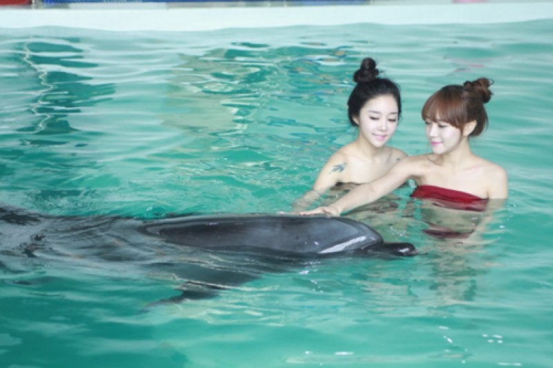 Marine Park  (6/9)