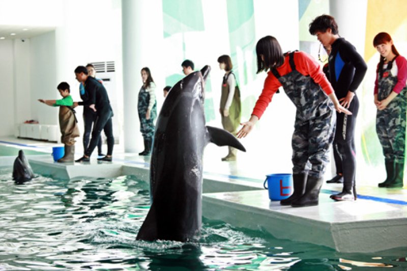 Marine Park  (7/9)