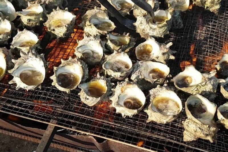 Jeju Udo Seashell Festival  (2/6)