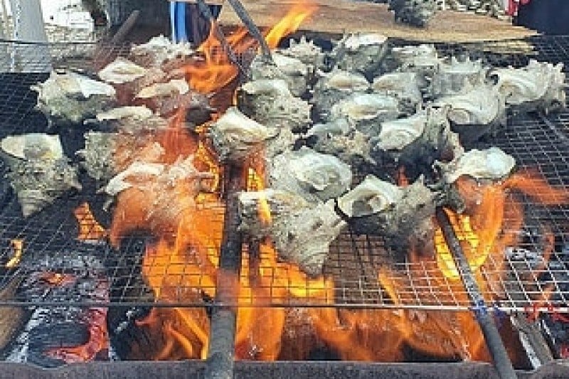 Jeju Udo Seashell Festival  (4/6)