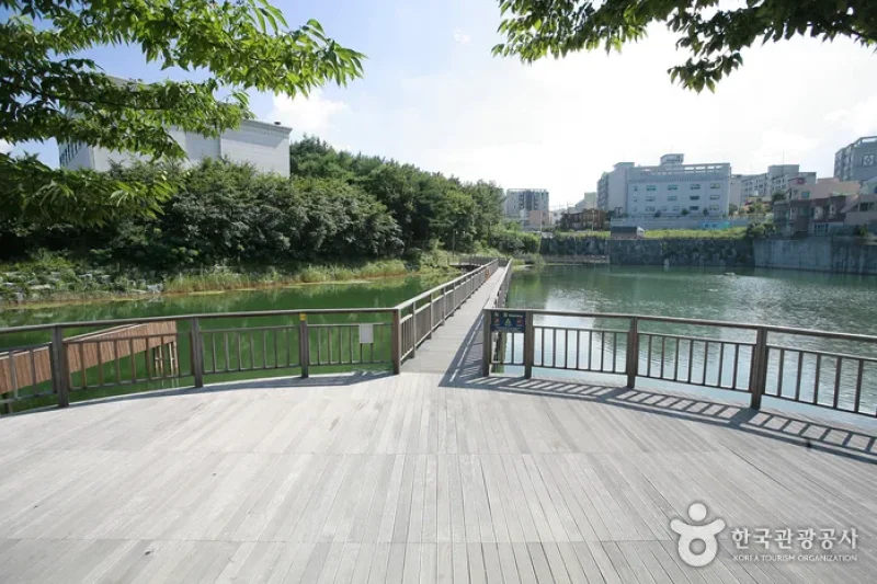 Sunmot Ecological Park  (1/8)