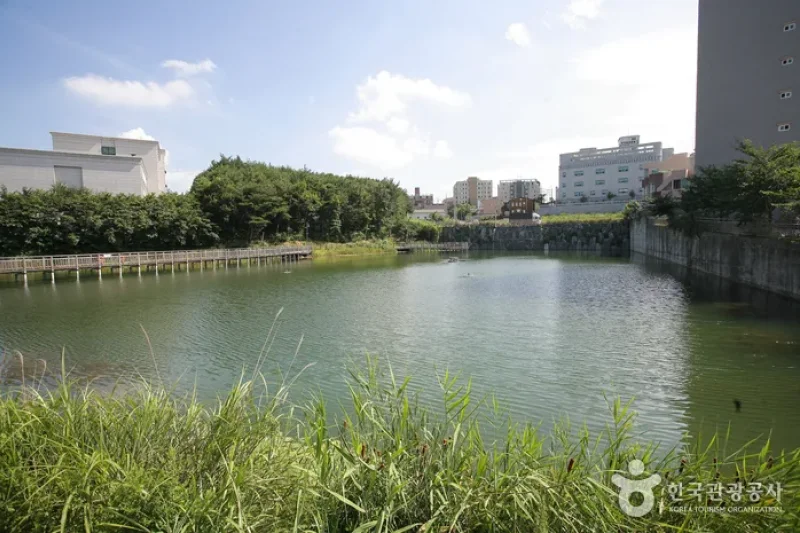 Sunmot Ecological Park  (3/8)