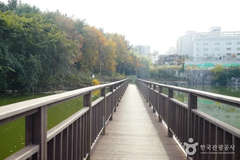 Sunmot Ecological Park  (4/8)