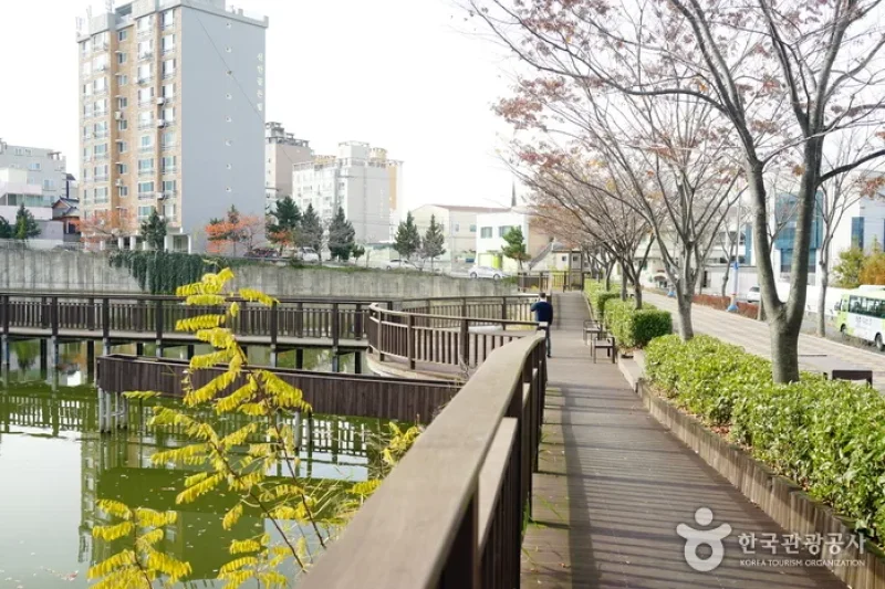 Sunmot Ecological Park  (5/8)