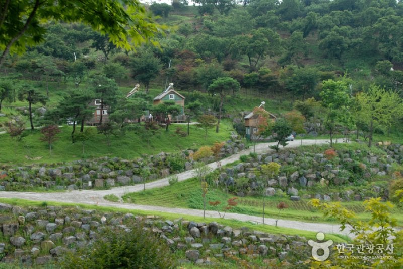 E-An Land  (8/8)