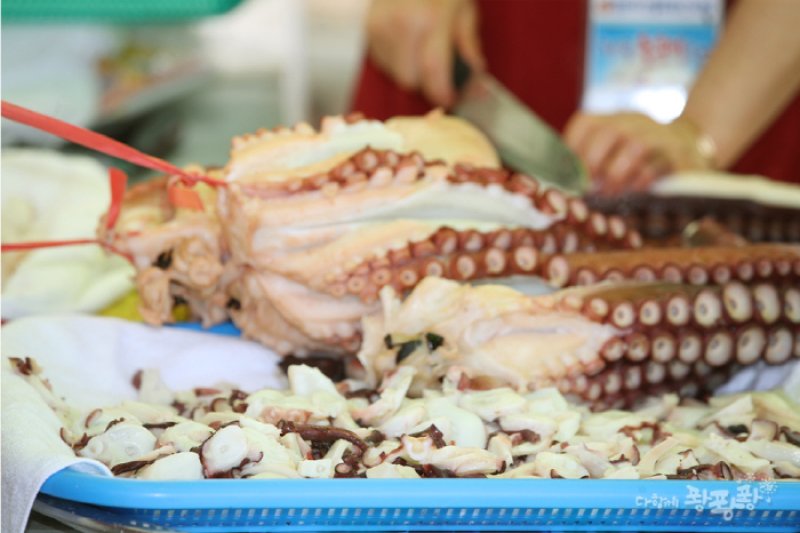 Homigot Octopus Festival  (1/7)