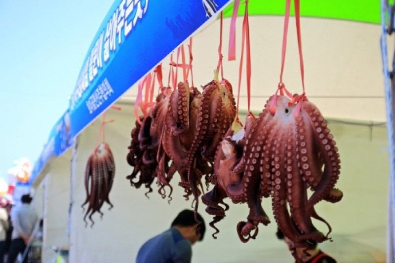 Homigot Octopus Festival  (7/7)