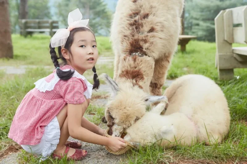AlpacaWorld  (4/39)