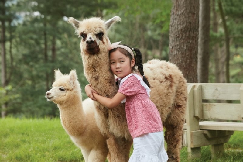 AlpacaWorld  (7/39)