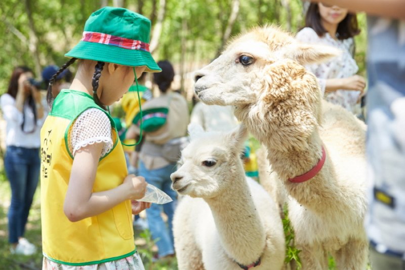 AlpacaWorld  (8/39)