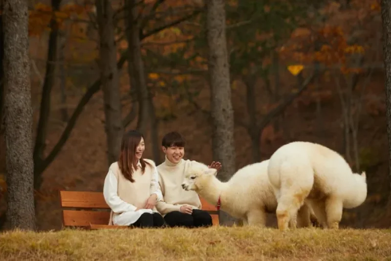 AlpacaWorld  (9/39)