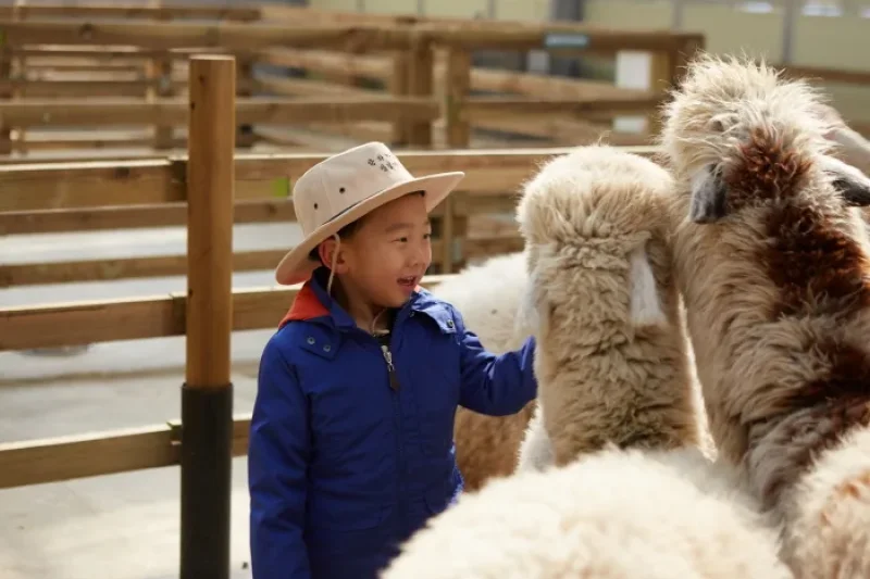 AlpacaWorld  (10/39)