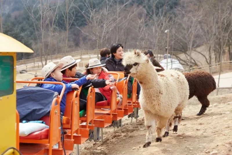 AlpacaWorld  (13/39)