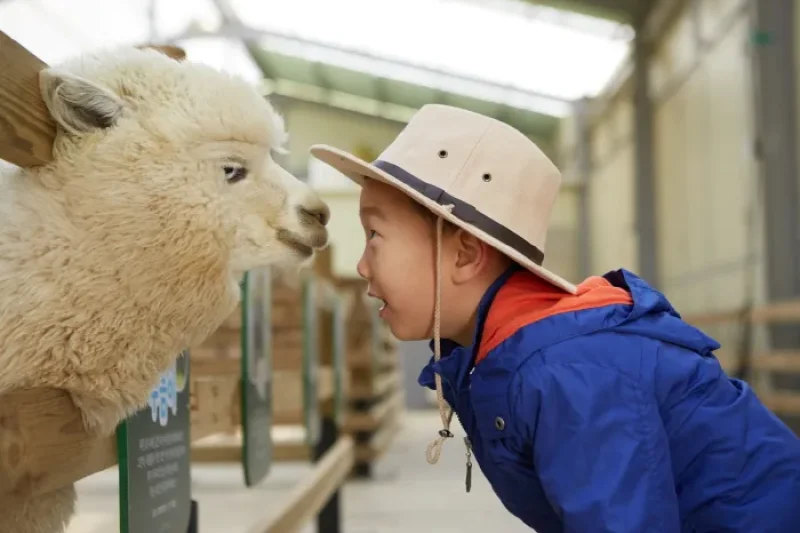 AlpacaWorld  (14/39)