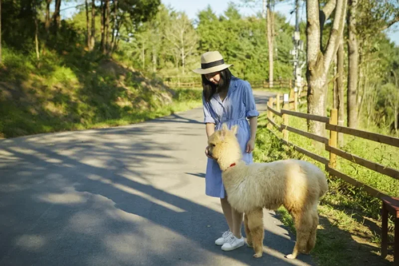 AlpacaWorld  (15/39)
