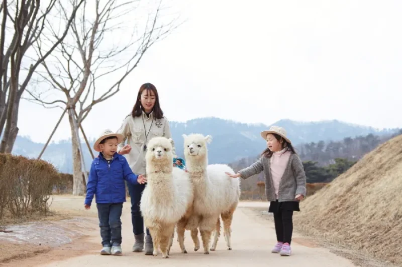 AlpacaWorld  (16/39)