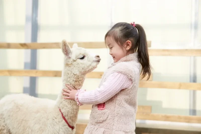 AlpacaWorld  (17/39)