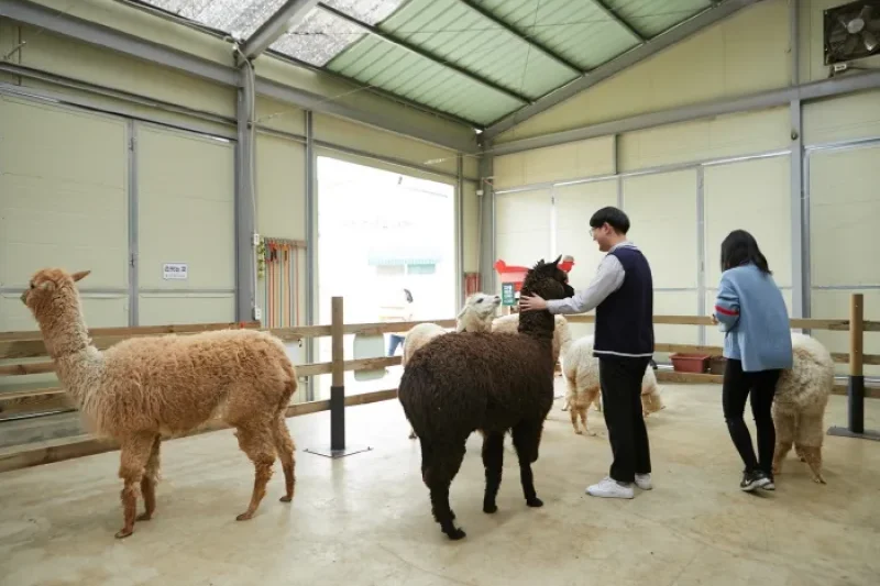 AlpacaWorld  (20/39)