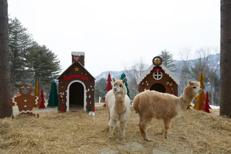 AlpacaWorld  (23/39)